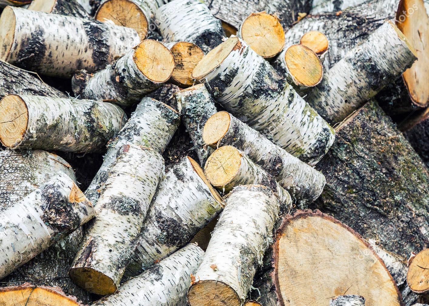 Дрова в Сосновом Бору с доставкой: березовые дрова