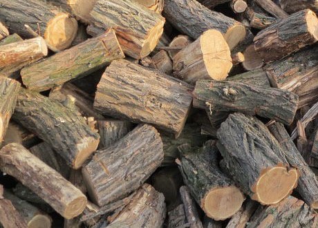 Дрова в Репино с доставкой: дрова дубовые с доставкой