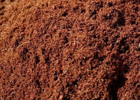 Купить грунт в Сертолово: компост с доставкой