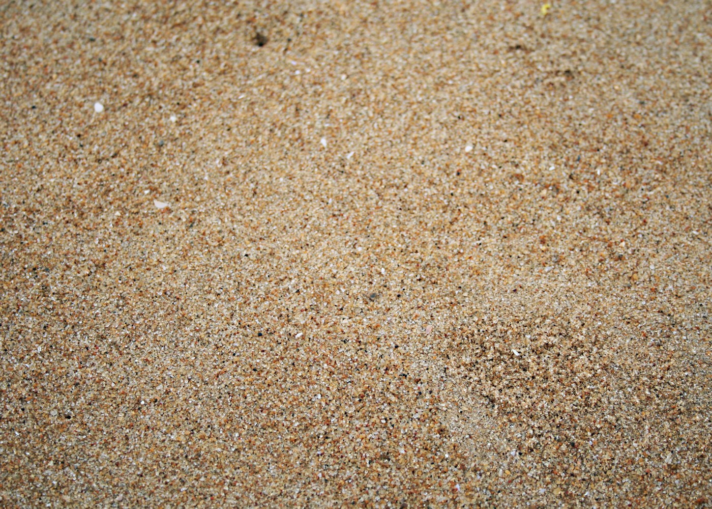 Морской песок купить с доставкой Всеволожск